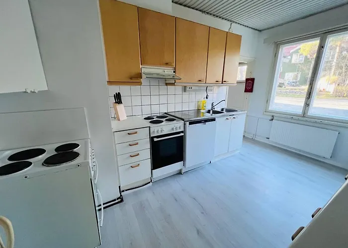 Huoneisto 10 Single House Near Meyer